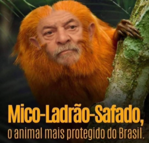 Montagem de Lula como mico leão dourado, com a legenda "Mico Ladrão Safado, o animal mais protegido do Brasil".